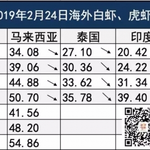 ���Ї��Ј�Ӱ푣�̩�����r�µ���ӡ���r�r����