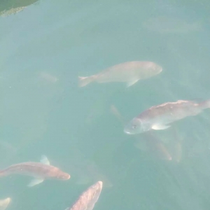 ʯ���~�Ј����� | �~�r̽�ף������ԭ����ʲô��