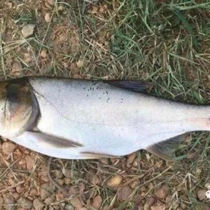 999999Ԫ��r�����~������B������