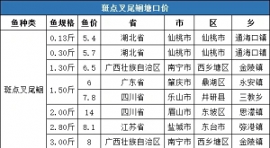 2��22�ա�2��28�ն��~�N���ڃr(ji��)����(b��o)