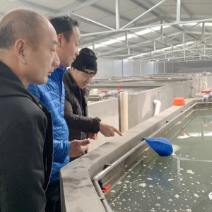 �S�ۇ��������L�ڰl(f��)չ��Ҫע��Ʒ�N��Ʒ�|(zh��)�cƷ��