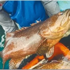 ʯ���~(y��)������Σ��@��(g��)���ز��ɺ�ҕ��