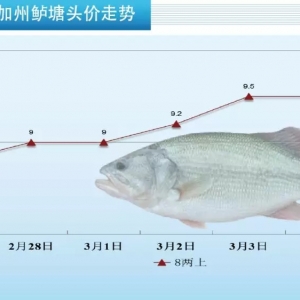 ����؝q|3��5�ռ����|���^�r