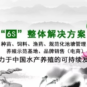 �������@����h��С���r���a������800����