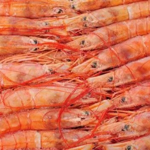 2018���Ї��M�ڰ���͢�t�r4.7�f�������L38.5%��