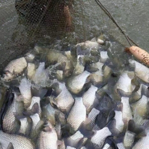 ��Ȼ̝�����Εr�������a�~3��4-10�������r