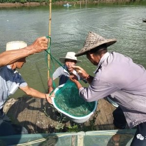 �s�v����Ʒϵ����ؔ����