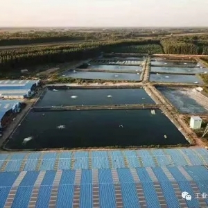 ��a�����|300�f��@�����I���@�^���HҪ��ͨ�a�N朗l��߀Ҫ�ُ���9����