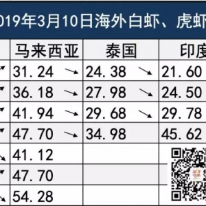 3��13�������׌��r���a�^���^��r