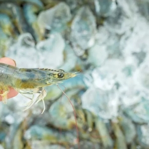 ȫ���r���^�����Ї��Ј�������Ի��ٰl����