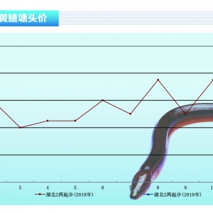 �S�X���r���ȵ���q�����w����������ˮ�aǰ�ء�2019��2�¿��Ј�څ��