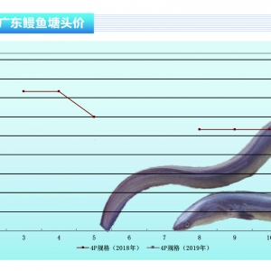 ���~�����������СҎ(gu��)���������ߣ��_�������r���µ�������ˮ�a(ch��n)ǰ�ء�2019��1�¿��Ј�څ ...