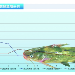 �S��~���V�|ֹ���������Ĵ��������q���@�ˡ�����ˮ�aǰ�ء�2019��1�¿��Ј�څ��