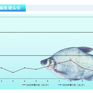 ���~��������̽����δҊ�ס�����ˮ�aǰ�ء�2019��3�¿��Ј�څ��