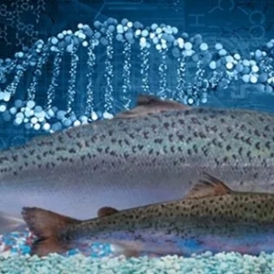 �D���������~������զ������