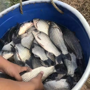 �~�����к���Ϣ������a�~�r��K���ϝq��