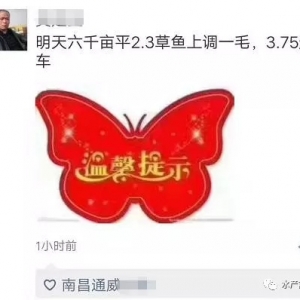 ����ȫ��t�𣿣��A�ϲ��~ֹ������