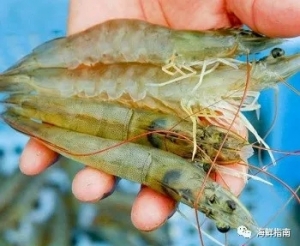 �����r�r|��϶ࠖ���r�q�r��Խ�ϻ��r�����F�R