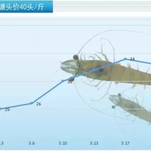 ȫ�����m���r�ġ���3��24�������׌��r���a�^���^��r