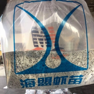 �������˸߮a���߳ɹ��ʵı���