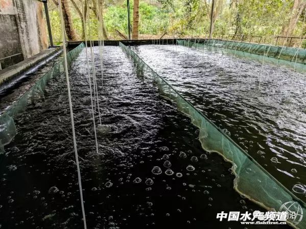 Ʒ�|���ȣ�Ʒ�������_���~�N�I��δ��