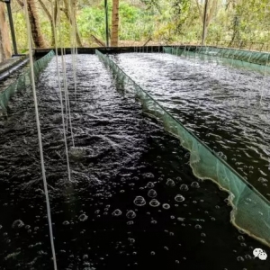 Ʒ�|���ȣ�Ʒ�������_���~�N�I��δ��