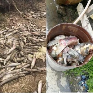 ����漱��20���꺱Ҋ�������K���ɺ����Ĵ���ز��~��Ҏ(gu��)ģ���l(f��)���ֲ���