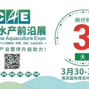 2019ˮ�a(ch��n)�ИI(y��)����L(f��ng)�����ģ��f��չ�����V��