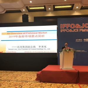 2019�~���Ј��߄���Σ��쿴������Ӣ�������õ��A�y