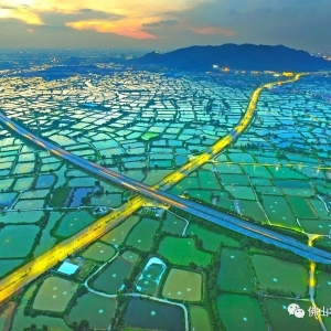 ��ɽ�@Ƭ���������ġ������������������z��