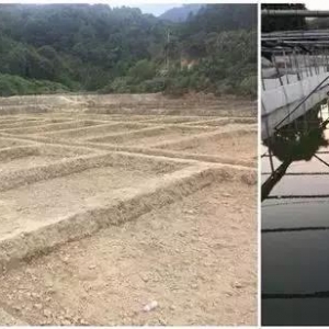 ţ�܃r���ů������5Ԫ/�����Bֳ���ܸ߮a��Ч�棿