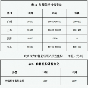 �~���܈󣺵�13�ܶ������µ�VS�~�ۏ����ϝq