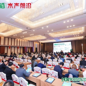 �����ģ������|�~���B���ήa�ߡ����L�죬�����a�I朴����T���C��