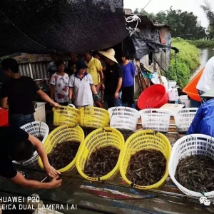 �������a2200��ɻ���9�ɣ����@Щ�B�r������Ρ�Ц���V������