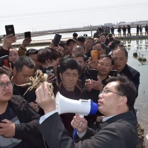 ������21���M���з���N2.0�r������Ҫ���������£�