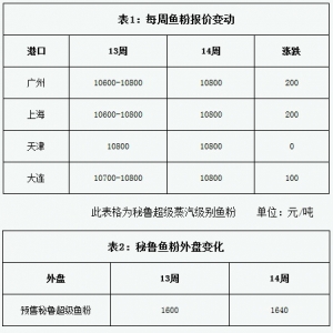 �~���܈󣺵�14���~���^�m(x��)�ϝq