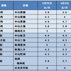 2019��4��6�ղ��~���^�r������