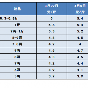 2019��4��6���a�~���^�r������