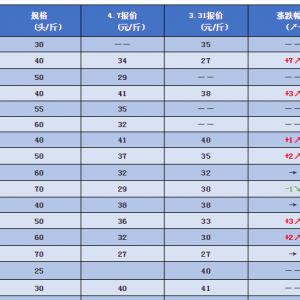 ������ɽ�����T�r�r������q���M���r����ӿ�롡��