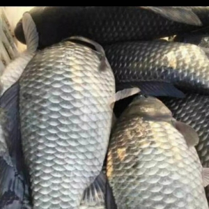 �~܇��ꠓ��~���A���a�~Ҳ�_ʼ��ů�ˣ�