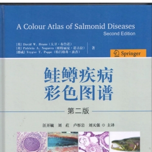 �r���F�ĺ��V�~��Ϊ��ö�����