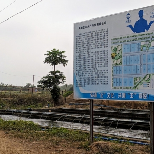 ��׌�_���~(y��)�I�����ֲ��������Dʲô��