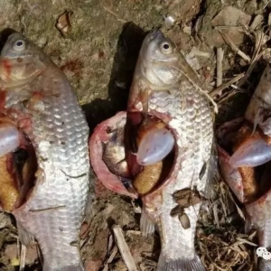 ���裡2019���a�~�w��Ѫ��ݛ���