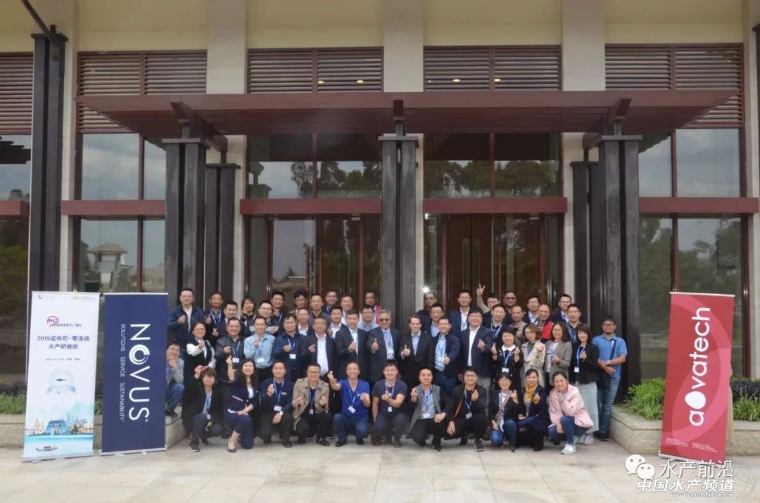 äĿ�ʱȣ��������ۡ�����2019�Z��˾������Pˮ�a���ްࡱ�^�m�_�v ����