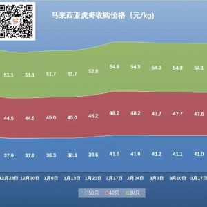 ����40/60���r��ُ�r�������R������40�r��q