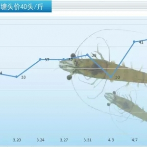 ȫ���ݡ��r�ġ�����؃r����m���q