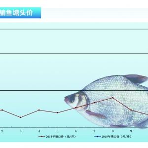 ���~�������o�r�����m���ԡ�����ˮ�aǰ�ء�2019��4�¿��Ј�څ��