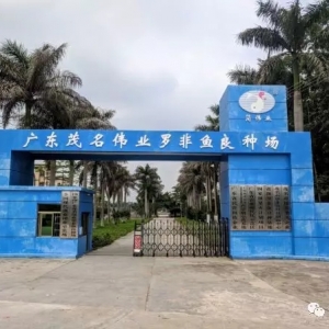 �����B(y��ng)ֳģʽ������Ʒ�|(zh��)�Ĵ����_���~(y��)