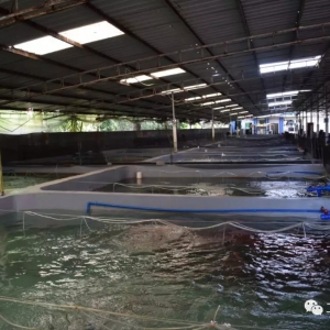 ���ϟ���ʯ���~���S���B(y��ng)ֳ�F(xi��n)��