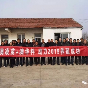 ����з���߼�ϵ�x������Ψ������Փ��